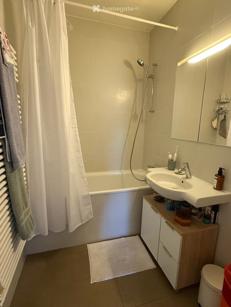 Appartement lumineux de 3 pièces avec balcon à Thônex (11)