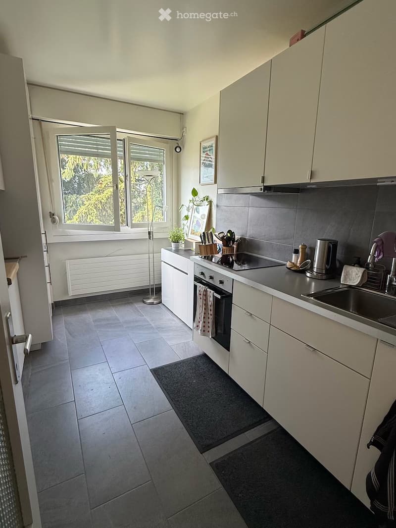 Appartement lumineux de 3 pièces avec balcon à Thônex (2)
