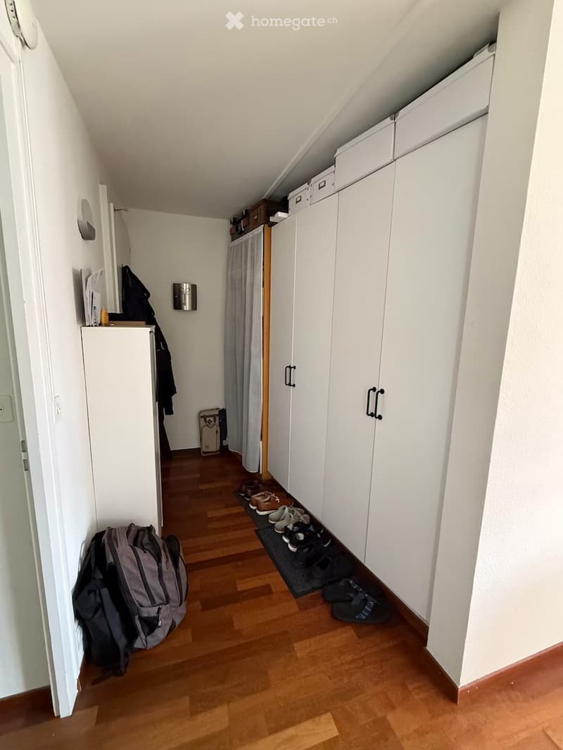 Appartement lumineux de 3 pièces avec balcon à Thônex (10)