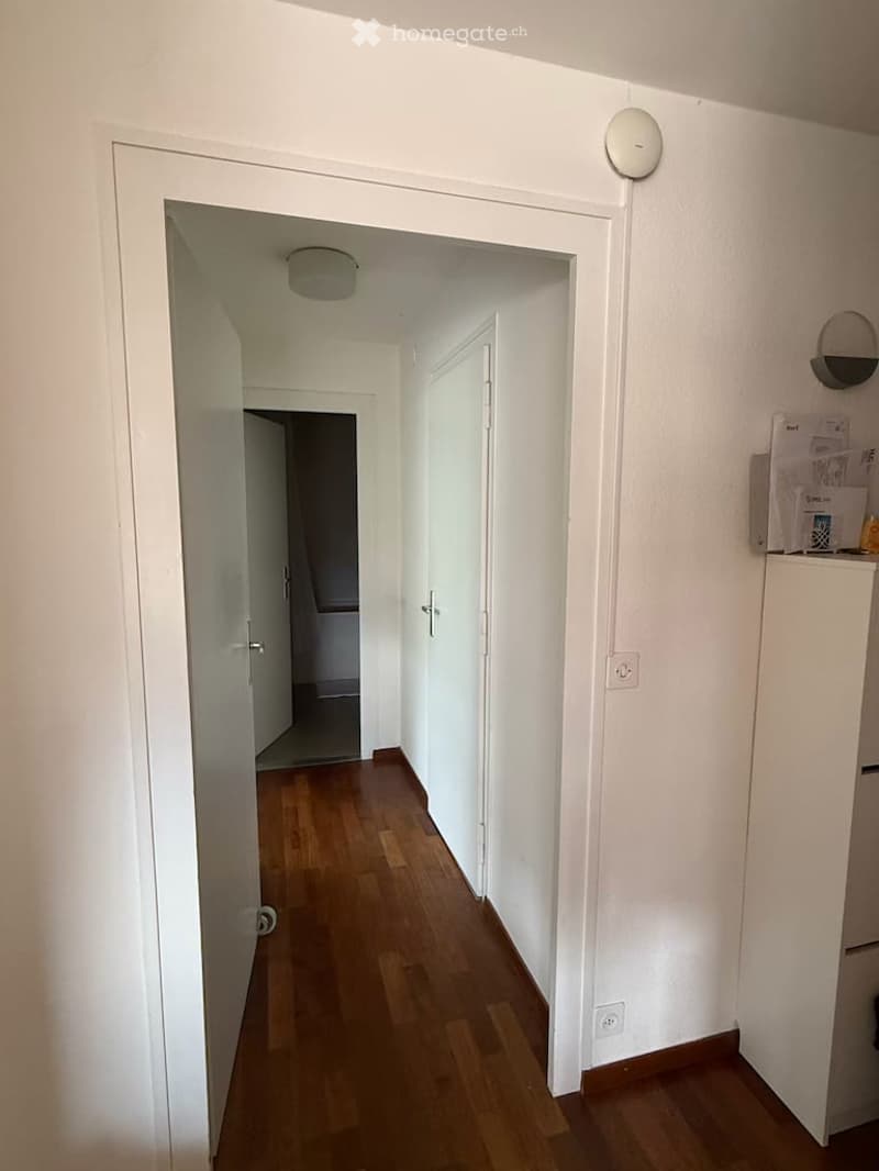 Appartement lumineux de 3 pièces avec balcon à Thônex (8)