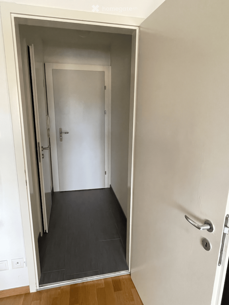A narrow hallway with light-colored walls, wooden flooring, and a closed white door at the end.