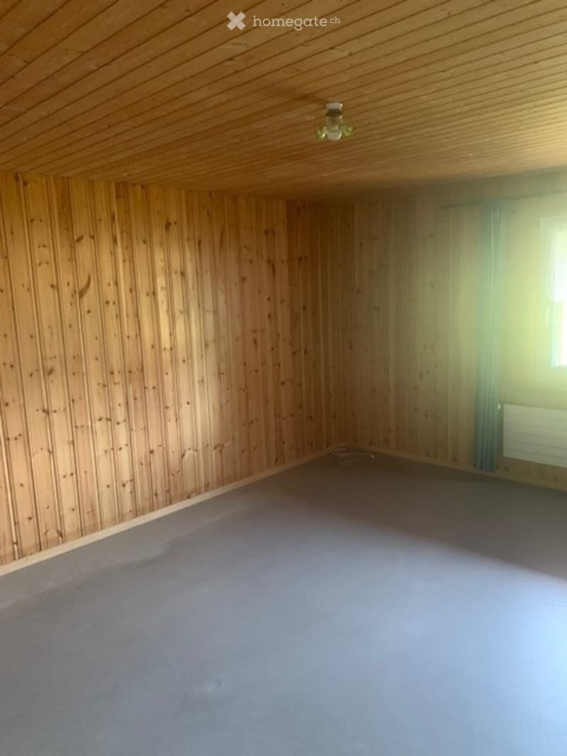 Empty room with wooden walls and ceiling, carpeted floor, and a single window with a radiator below it.