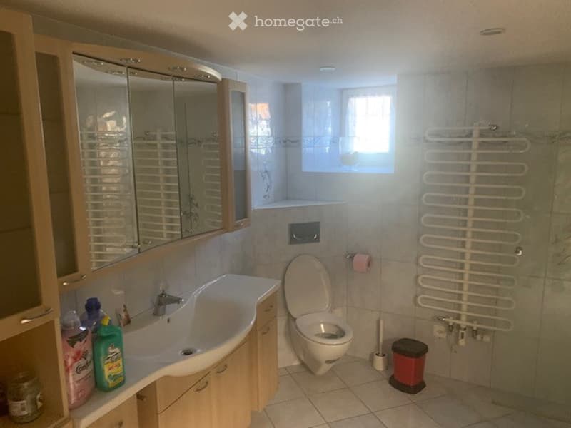 A modern bathroom with a sink, mirror, toilet, and towel rack. Cleaning supplies are placed on the sink counter.