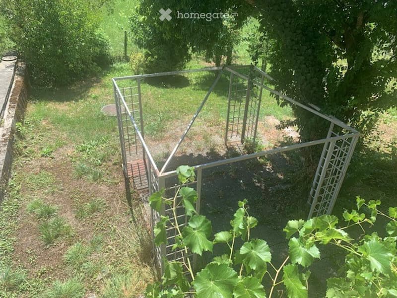 A metal dog kennel with a wire mesh enclosure is situated in a grassy area surrounded by trees and plants.