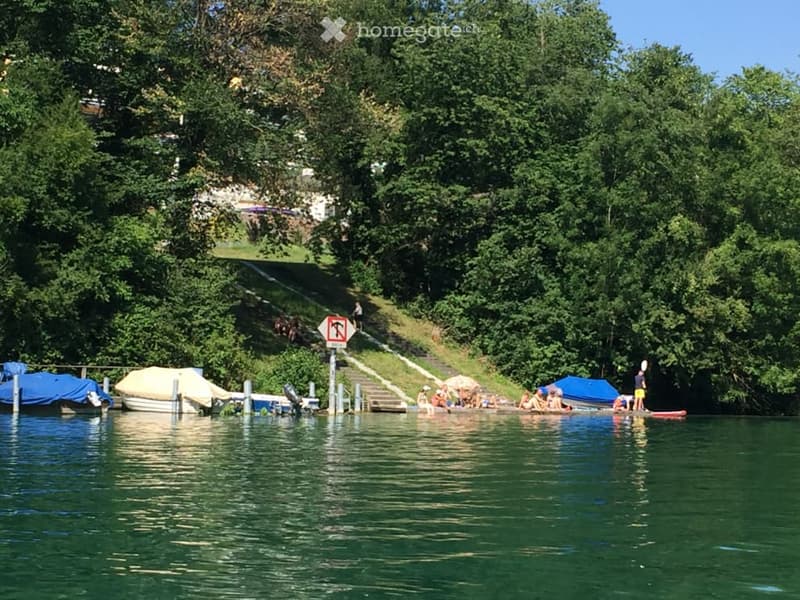A lakeside area with several boats docked along the shore, people gathered on a wooden platform, and trees lining the background.