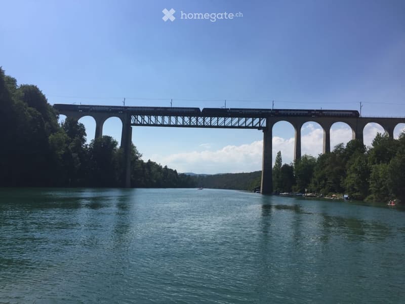 A large bridge spans a river with a train crossing above. The river is calm with a few boats and kayaks visible below. The surrounding area is lush with green trees.