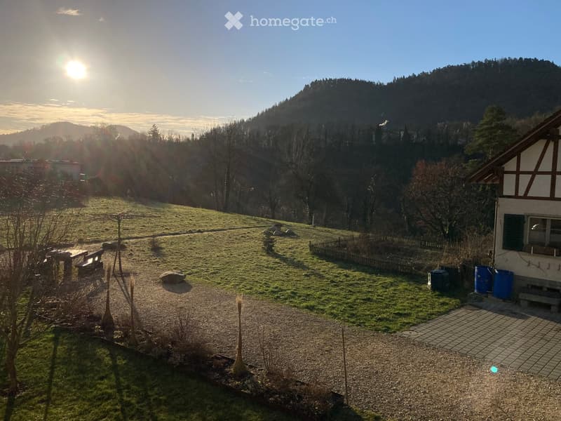 A peaceful garden area with a wooden fence, a small house with a traditional half-timbered design, a grassy lawn, scattered rocks, and a bench. The background features a forested hill under a clear blue sky with the sun shining brightly.