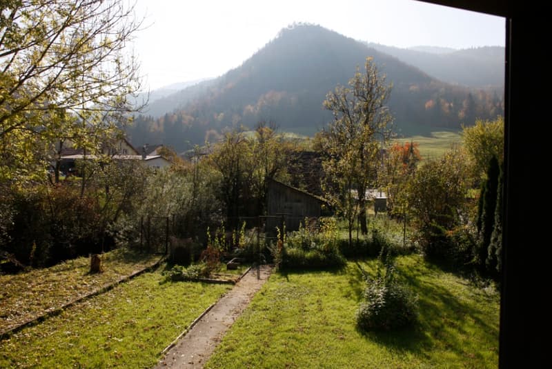 Garden with a view of a mountain, surrounded by trees and shrubs, with a small pathway leading to a wooden shed.