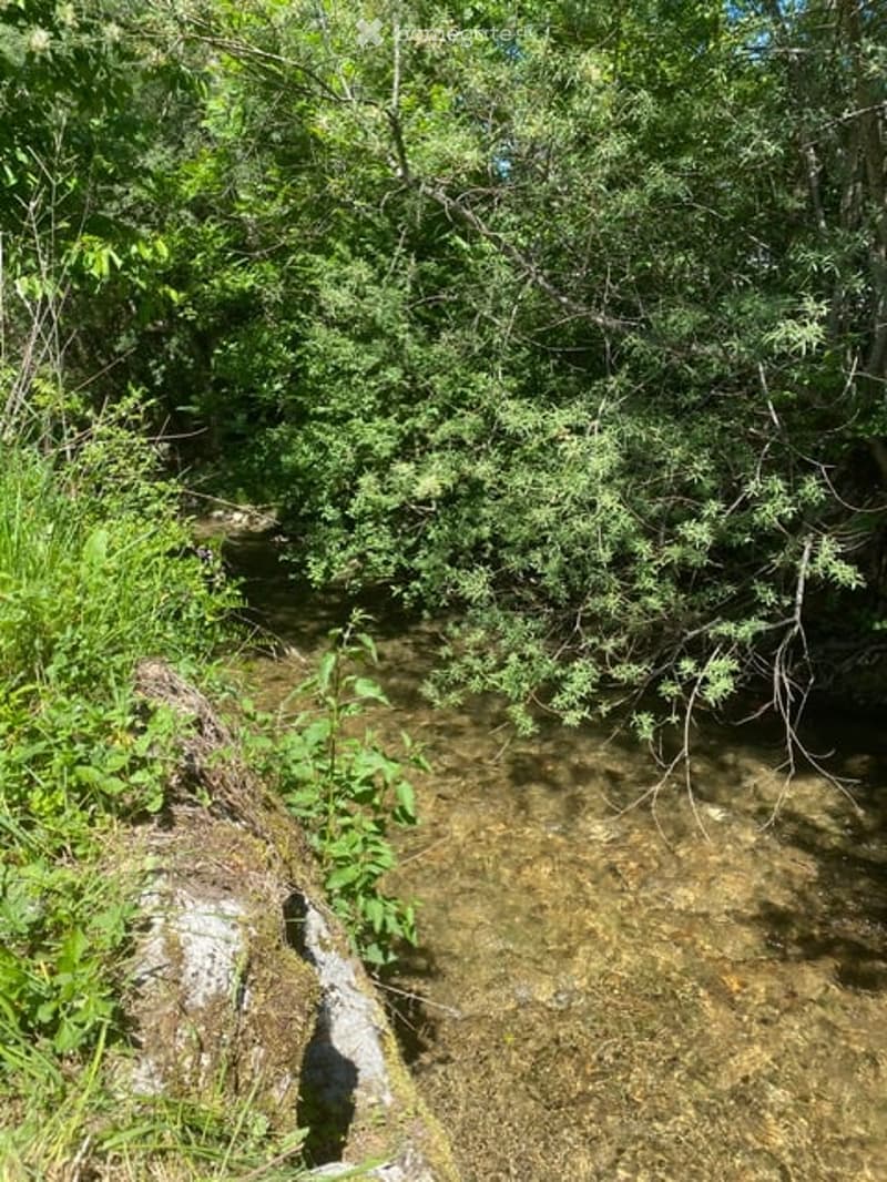 Liebhaberobjekt direkt am Bach mit grossem Garten, Scheune und eigenem Badeplatz (26)