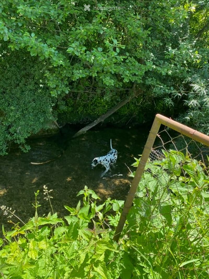 Liebhaberobjekt direkt am Bach mit grossem Garten, Scheune und eigenem Badeplatz (23)