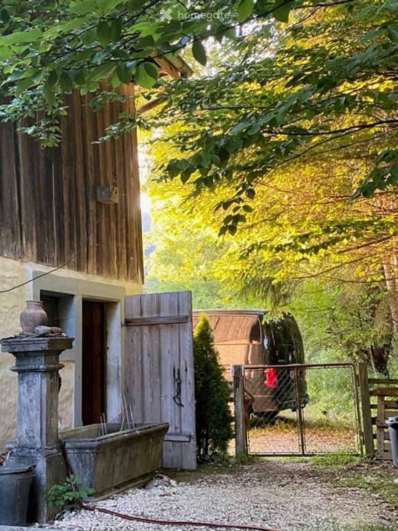 A rustic garden area with a wooden gate, a small tree, a stone planter, and a parked van behind a fence.