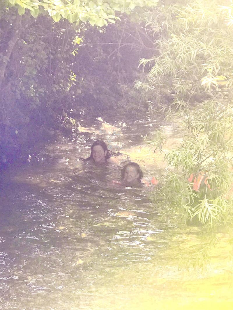 A natural outdoor area with water, surrounded by dense vegetation and trees.