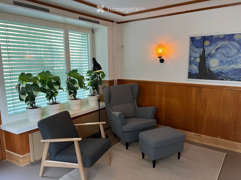 a small sitting room with armchairs, ottoman, lamp, potted plants on the window sill, and a painting on the wall