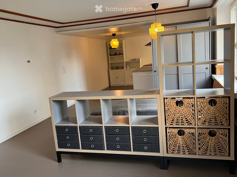 large modular unit with shelves and drawers, baskets, bed behind the unit, kitchen and dining area visible, lamps hanging from ceiling, power outlets on wall
