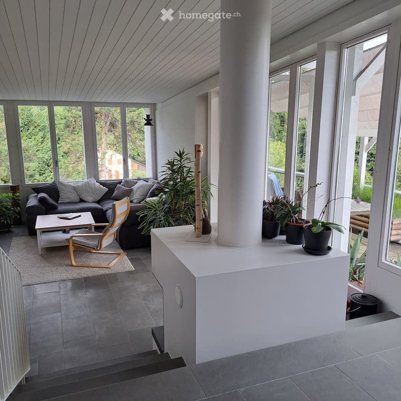 Modern living room with large windows, grey sectional sofa, coffee table, wooden chair, and several potted plants.