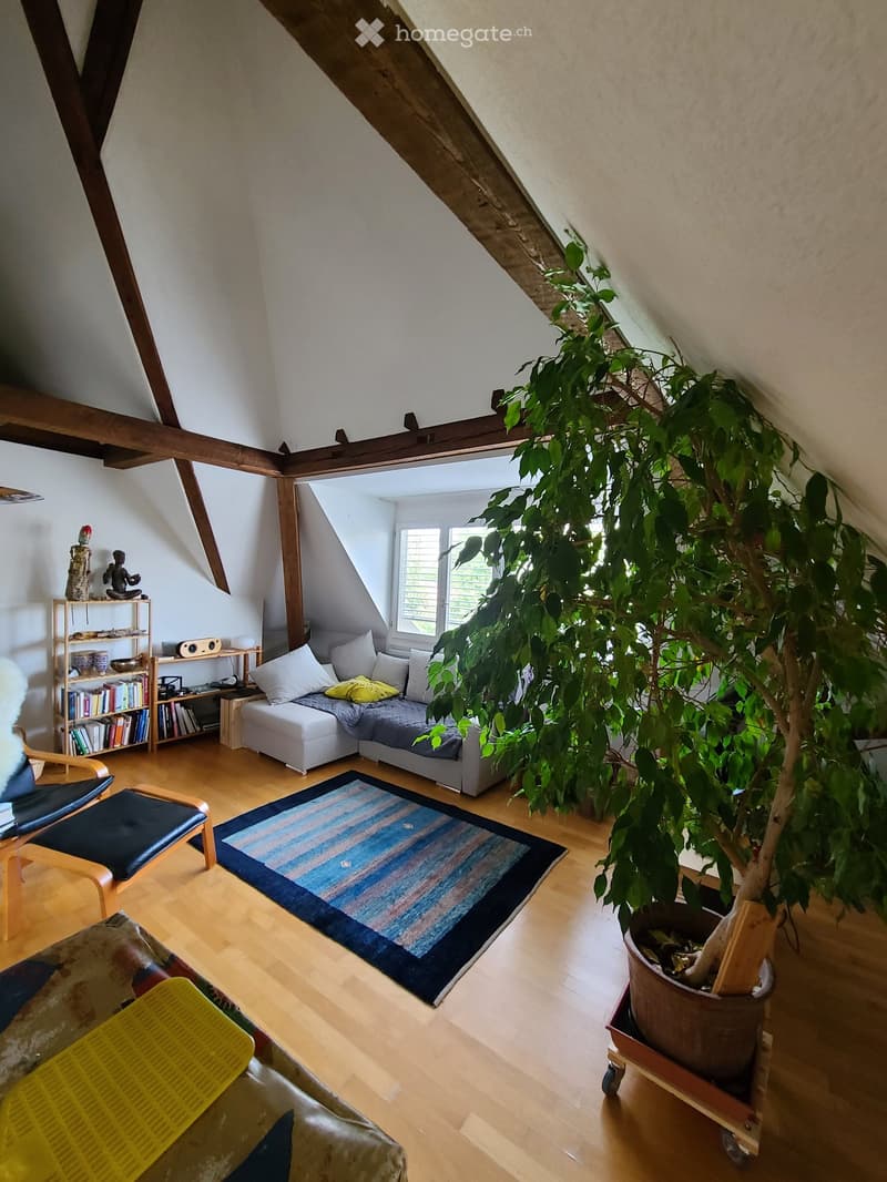 Living room with wooden floors, slanted ceiling beams, a large potted plant, a sofa with cushions, a colorful rug, a bookshelf, and a small table with a lamp.