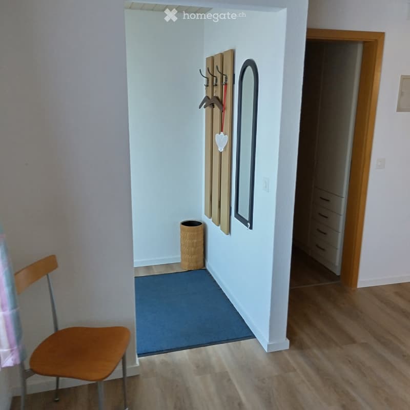 A narrow hallway with light blue walls, wooden flooring, and a small blue rug. A coat rack with hooks and a mirror is mounted on the wall, along with a woven basket on the floor. A wooden chair is partially visible on the left side.