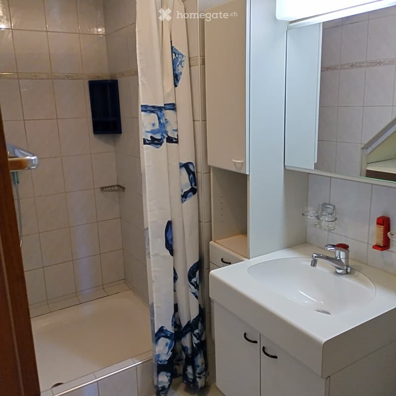 Bathroom with a white sink, mirror, cabinet, and shower area with a blue-patterned curtain.