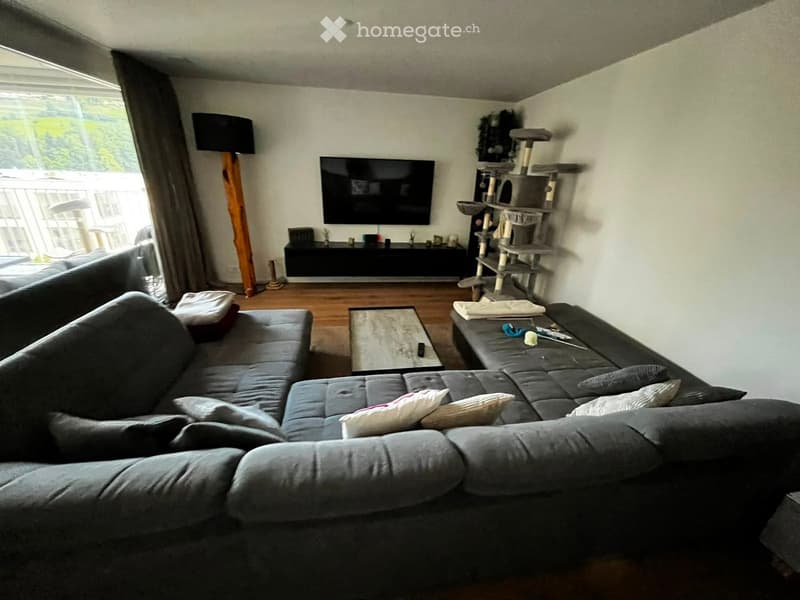 Modern living room with grey sectional sofa, coffee table, cat tree, TV, and floor lamp. Large windows with curtains provide natural light.