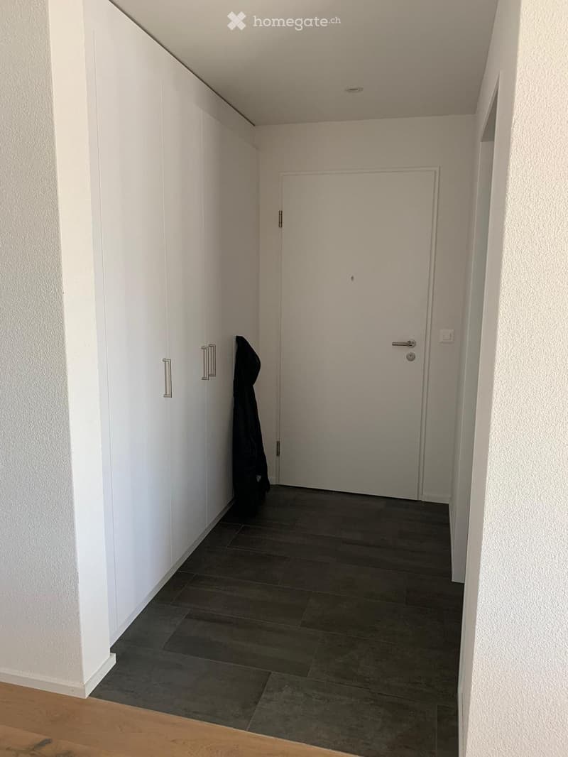 A narrow hallway with white walls, dark tiled floor, white closet with silver handles, and a closed door at the end.