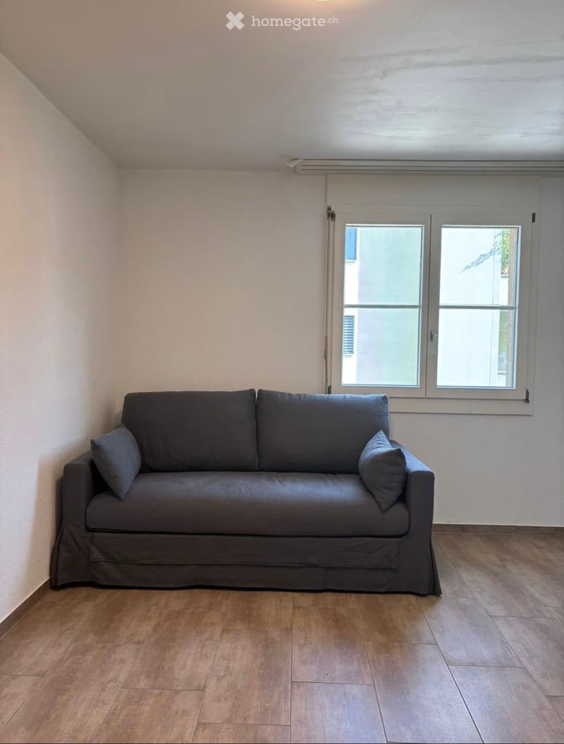 A furnished room with a grey sofa, wooden flooring, and large windows with white frames.