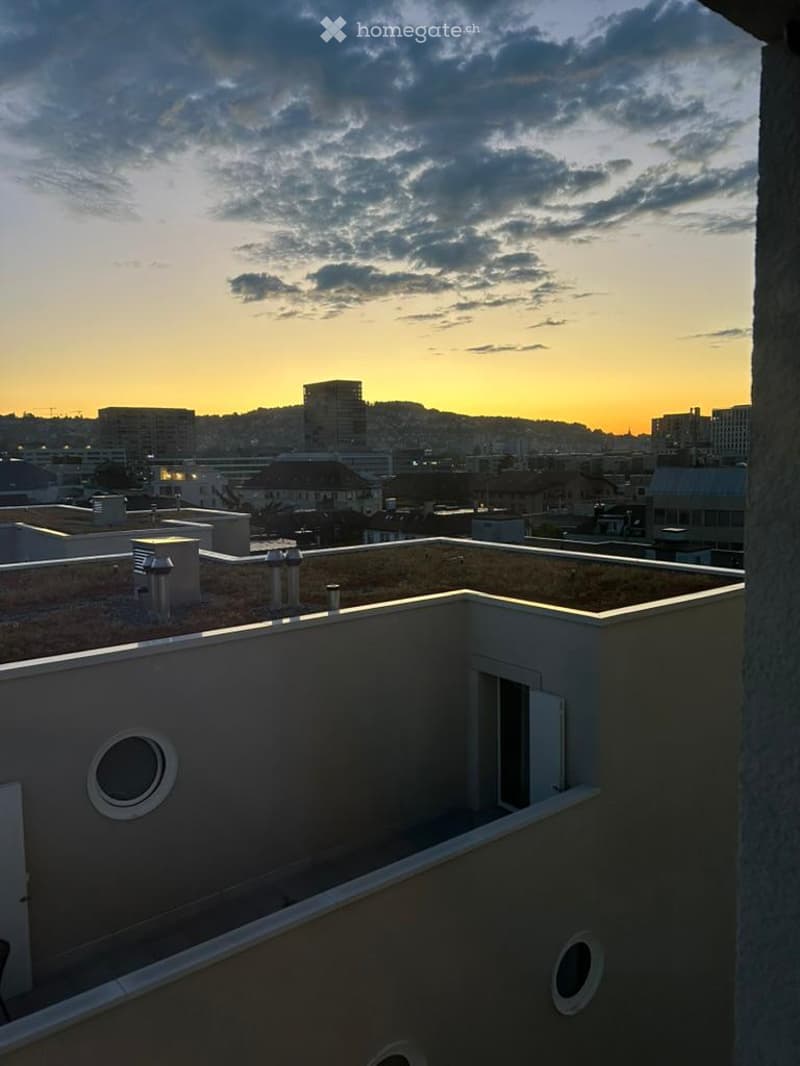 Roof terrace with cityscape view at sunset, featuring modern building structures and chimneys.