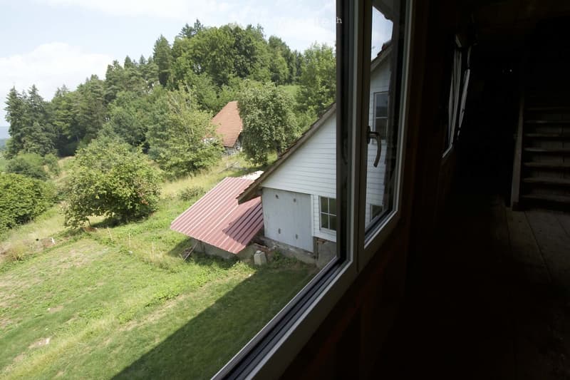 View from a window showing a grassy yard with trees, a small shed with a red roof, and a white house in the background.