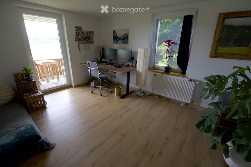 Bright, modern room with wooden flooring, large windows, and a desk setup with a computer and chair. Features a sofa, plants, and a view of an outdoor area.