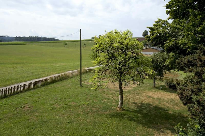 A peaceful garden area with a wooden fence, a tree, and a pathway leading to open fields and distant buildings.