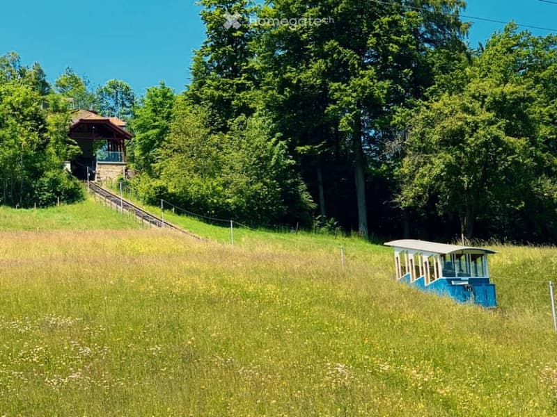 A scenic outdoor area featuring a blue and white cable car on a grassy field, surrounded by lush green trees and a small wooden structure on a raised platform in the background.