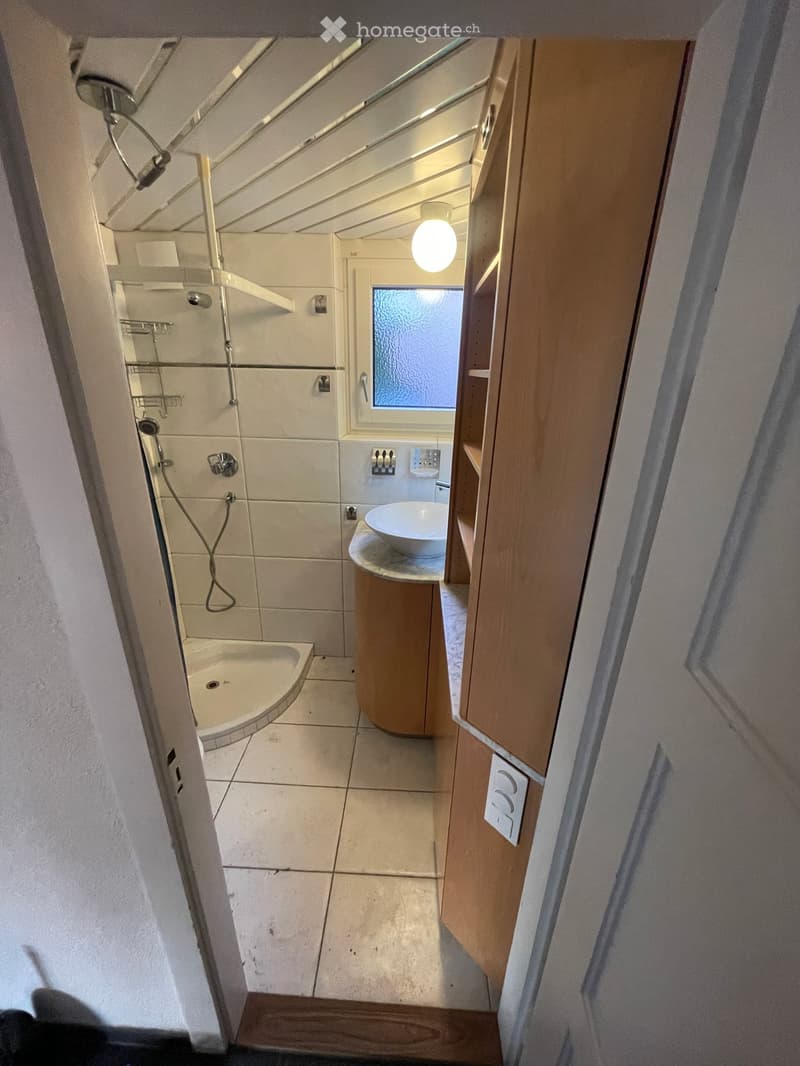 Compact bathroom with a corner shower, a round sink with a wooden cabinet, and built-in storage. Features a frosted window for natural light.