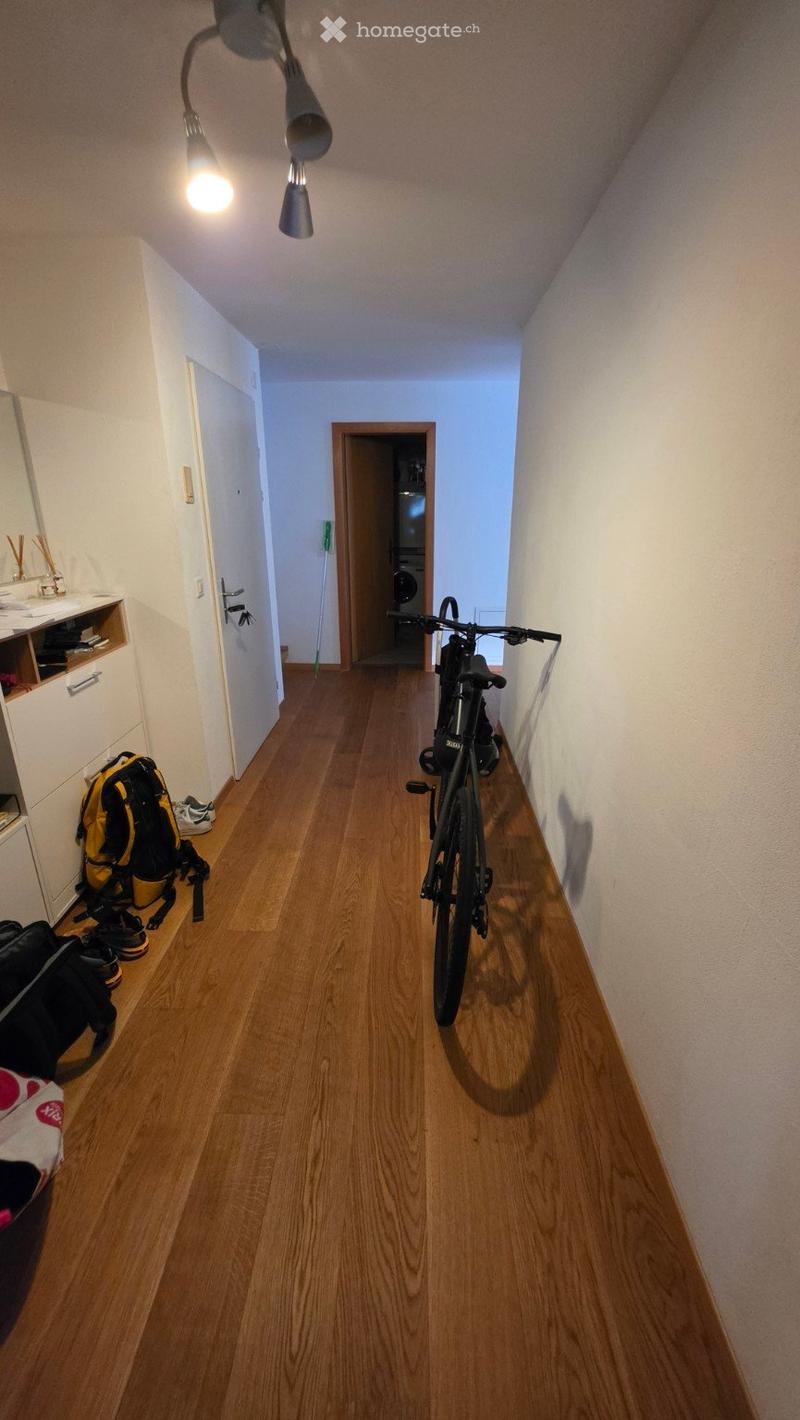 A narrow hallway with wooden flooring, white walls, and a ceiling light fixture. A bicycle is leaning against the wall, and a backpack and shoes are placed near a cabinet on the left side.