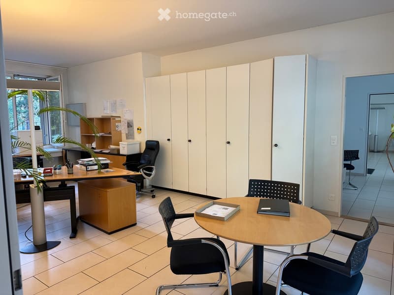 Office space with a desk, office chair, round meeting table with chairs, plant, and cabinet.
