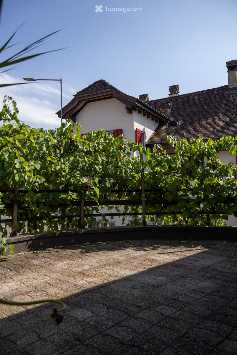 Roof terrace with gravel surface, surrounded by lush green grapevines on a wooden fence, with a white house and red shutters visible in the background.