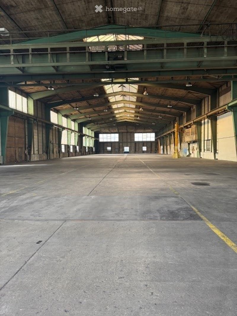 Large, open industrial space with metal framework, high ceilings, numerous windows, concrete floor, yellow markings, ceiling lamps