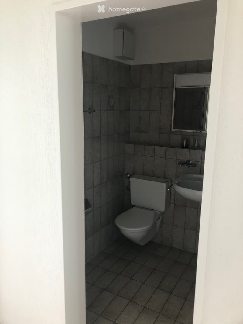 Small bathroom with dark tiled walls and floor, featuring a toilet, sink, and mirror.