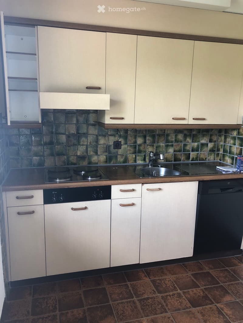 Modern kitchen with light-colored cabinets, a stainless steel sink, electric stove, and dishwasher. The backsplash features a dark, textured tile design, and the floor is tiled in a rich brown color.