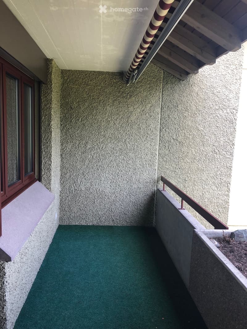 Balcony with green artificial turf, metal railing, and a small planter on the right side.