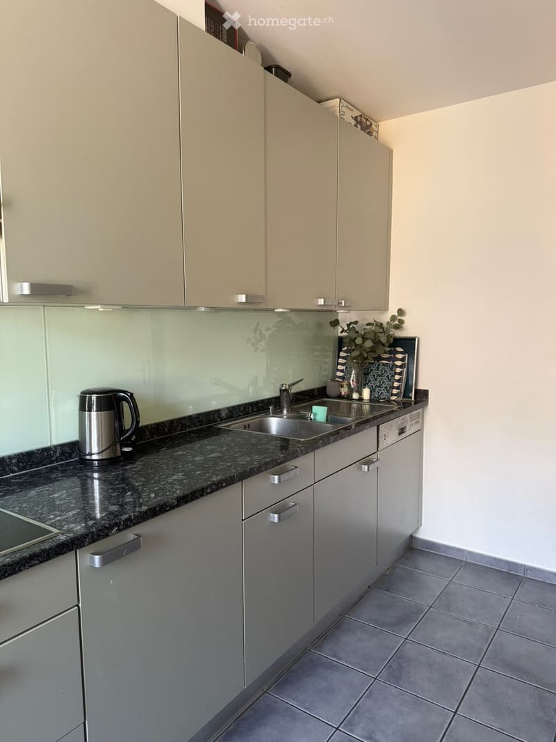 Modern kitchen with light grey cabinets, granite countertop, stainless steel sink, electric kettle, and a small decorative plant on the counter.