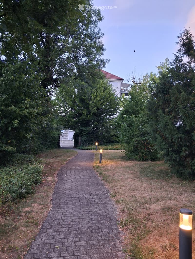 A brick pathway lined with trees and illuminated by modern outdoor lamps, leading to a house with a red roof and white walls.