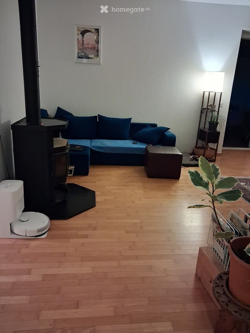 Living room with wooden flooring, a blue sofa, an ottoman, a fireplace, a floor lamp, and a potted plant near the window.