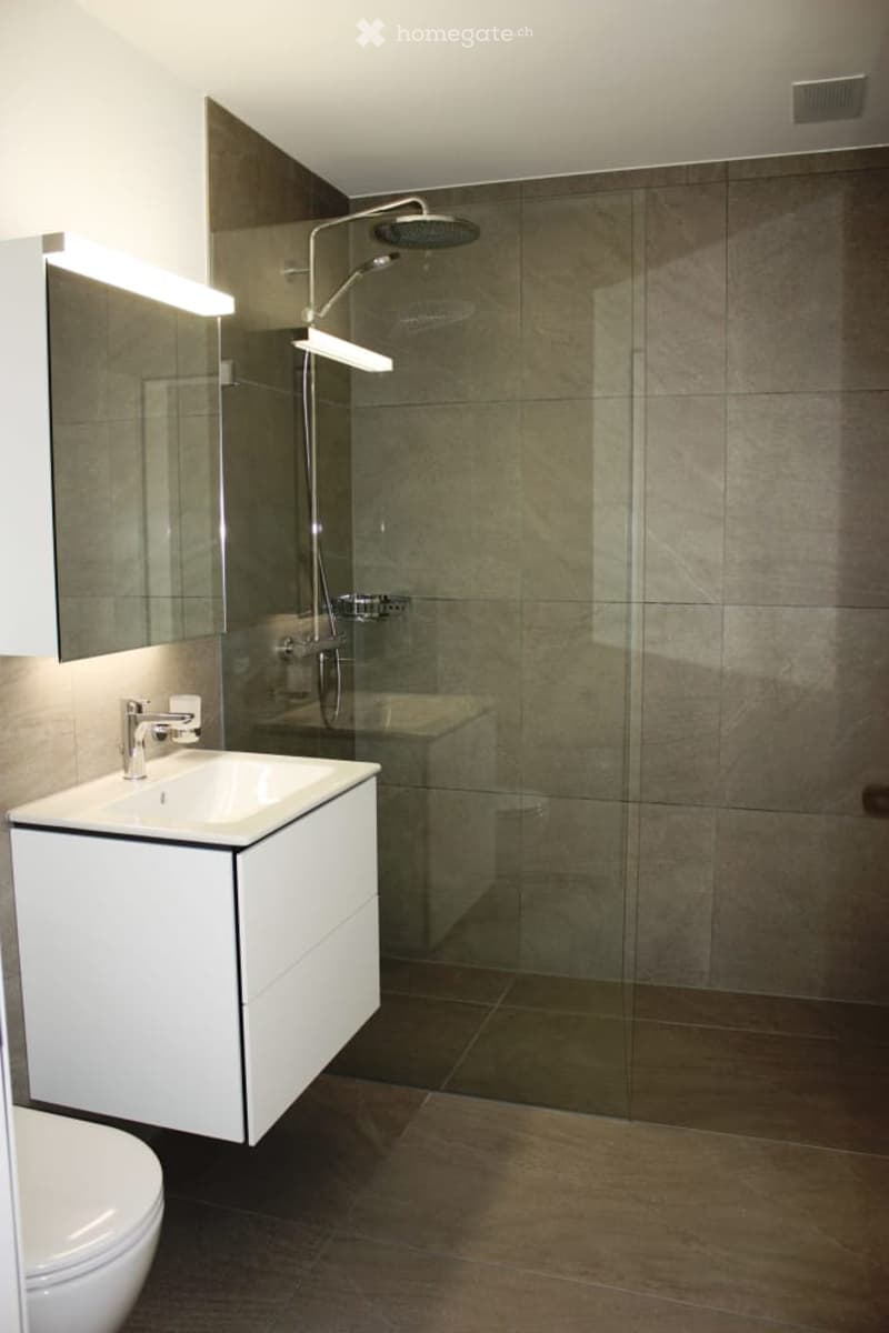 Modern bathroom with a white sink, mirror, toilet, and glass-enclosed shower with a modern showerhead.