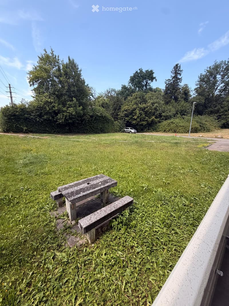 A grassy outdoor area with a stone bench, surrounded by trees and a parked car in the distance.