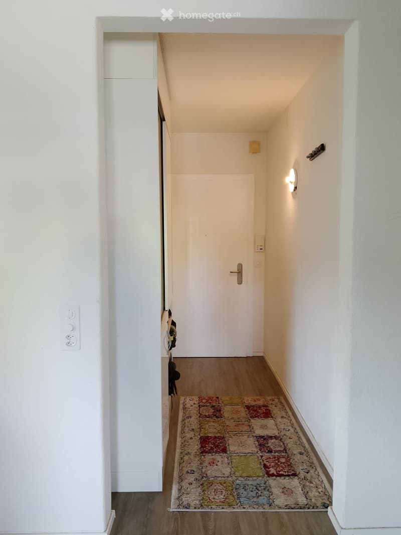 A narrow hallway with wooden flooring, white walls, and a colorful rug placed on the floor. A closed white door is visible at the end of the hallway, with a wall-mounted light fixture on the right side and an electrical outlet on the left wall.