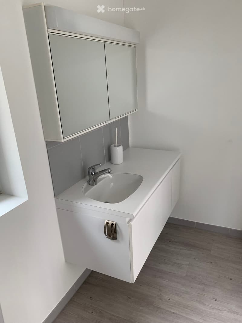 Modern bathroom with a white sink, chrome faucet, built-in mirror cabinet, and a toothbrush holder on the counter.