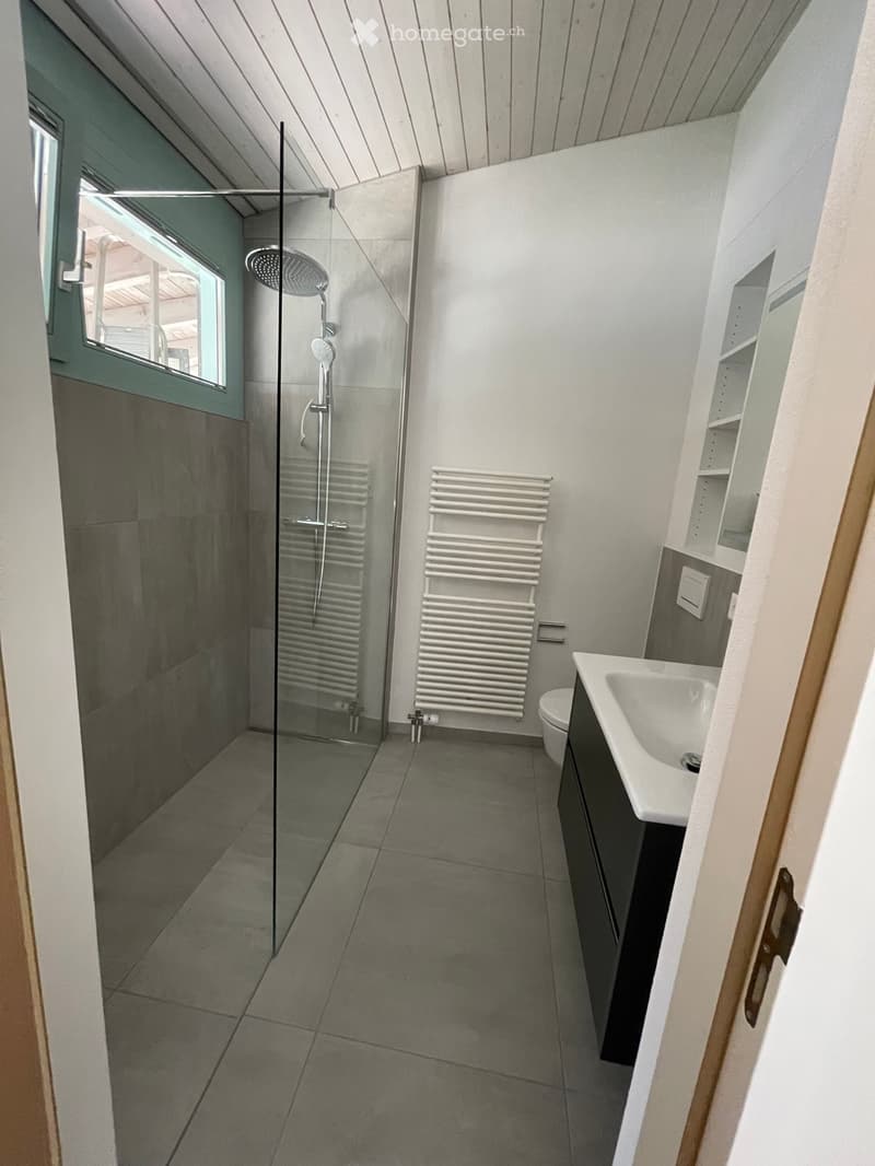 Modern bathroom with a glass-enclosed shower, a sink with a cabinet, a toilet, and two radiators.