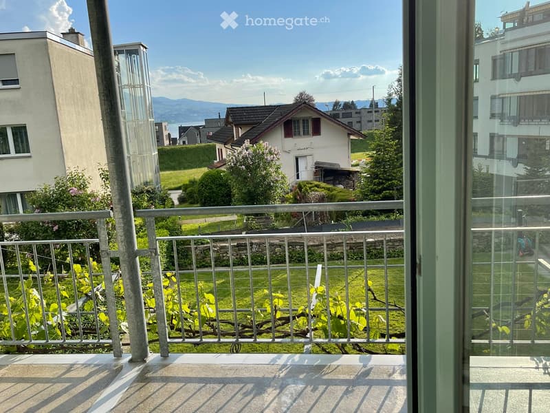 Balcony with metal railing, overlooking a green lawn and garden area with bushes and trees, with a view of neighboring houses and mountains in the background.