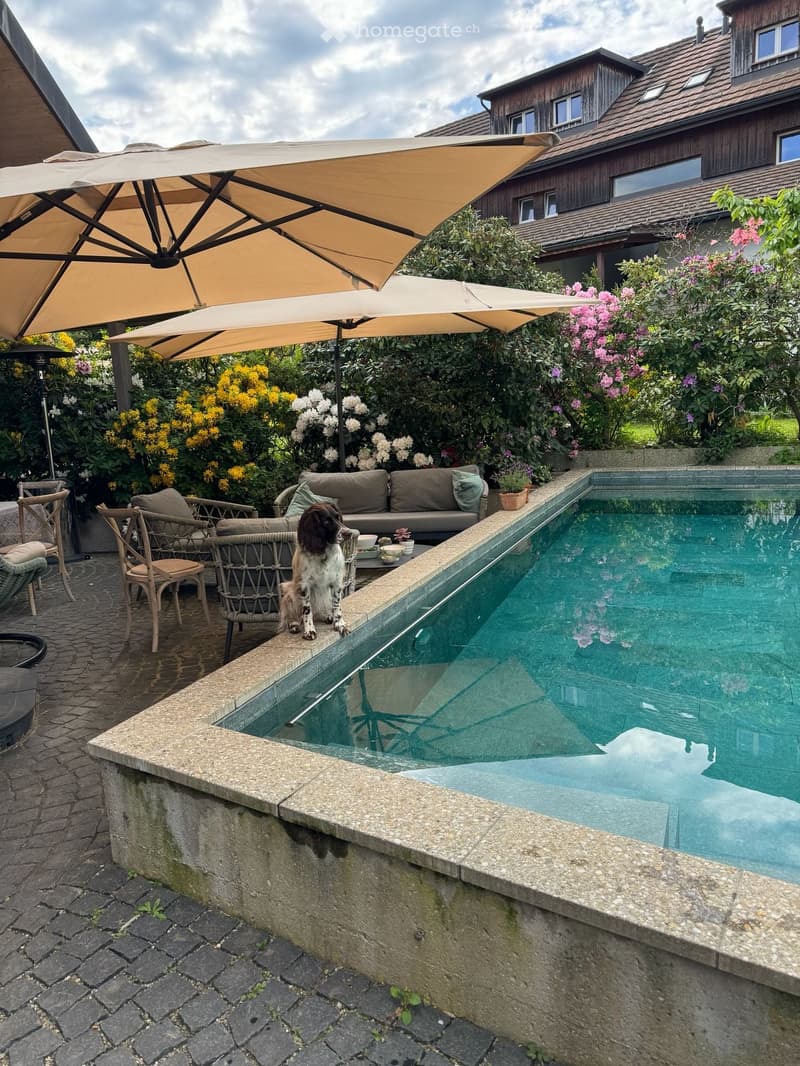 Outdoor patio area with a swimming pool, sofa, chairs, and large umbrellas, surrounded by lush greenery and flowers.