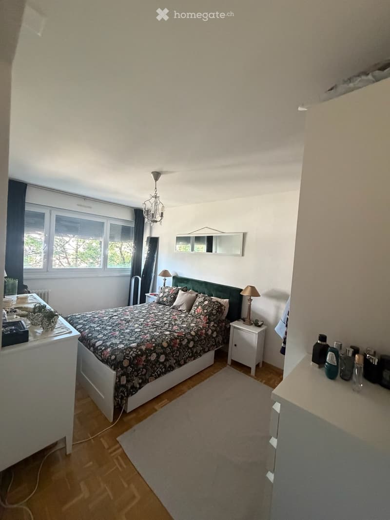 Well-lit bedroom with a large bed, nightstands, lamps, a mirror, and a small table with a plant.