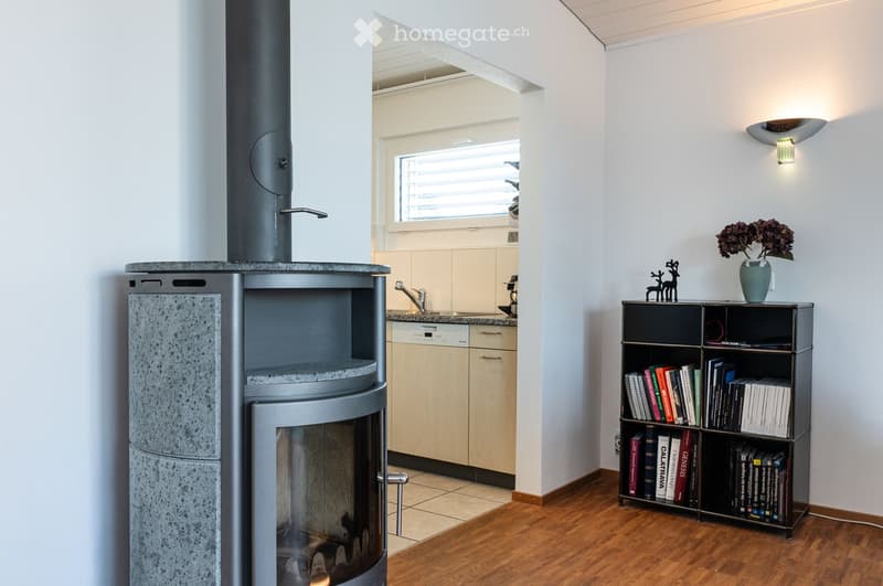 Modern living space with a wood-burning fireplace, bookshelf filled with books, decorative vase with flowers, and a small kitchen area with cabinets and sink.